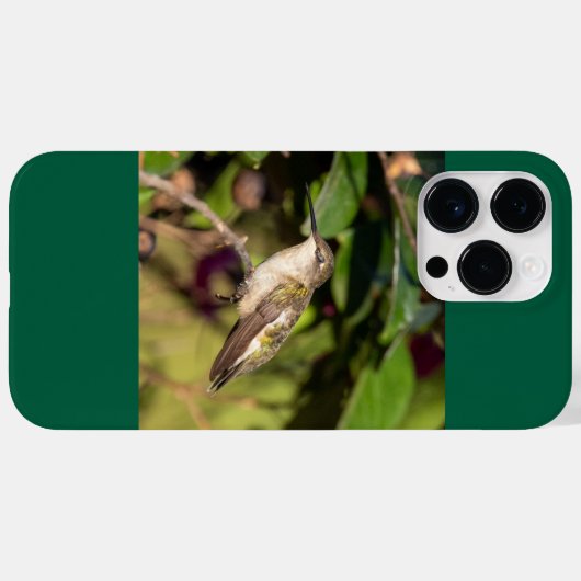Ruby-Throated Hummingbird Case-Mate iPhone Case (Achterkant (horizontaal))