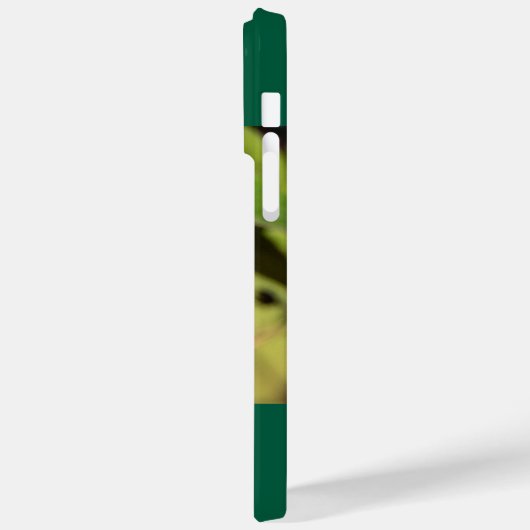 Ruby-Throated Hummingbird Case-Mate iPhone Case (Achterkant / Links)