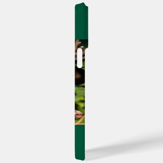 Ruby-Throated Hummingbird Case-Mate iPhone Case (Achterkant / Rechts)