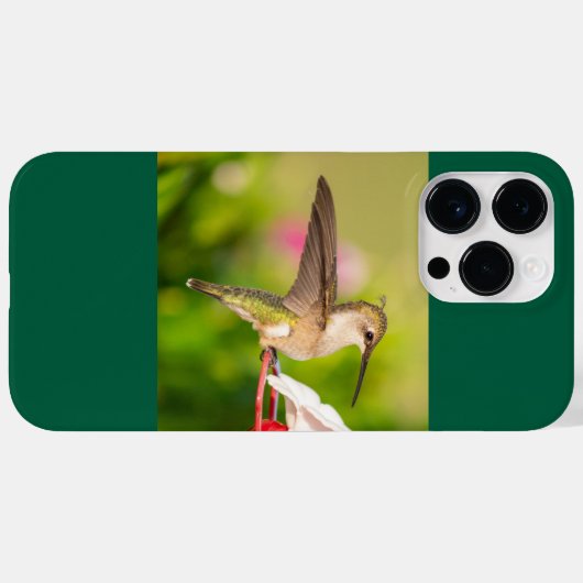 Ruby-Throated Hummingbird Case-Mate iPhone Case (Achterkant (horizontaal))