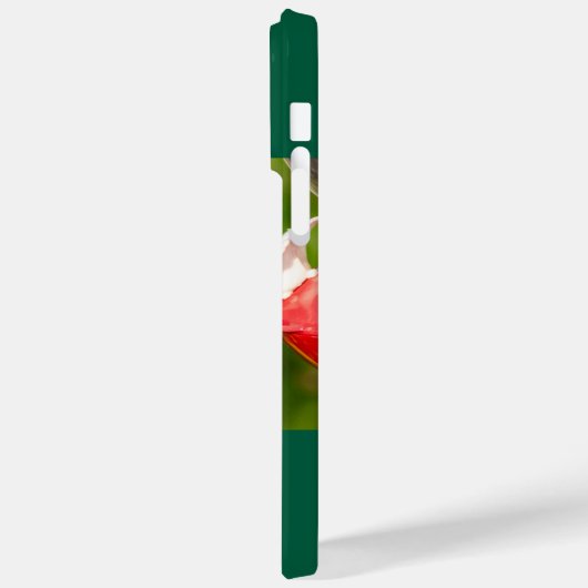 Ruby-Throated Hummingbird Case-Mate iPhone Case (Achterkant / Links)