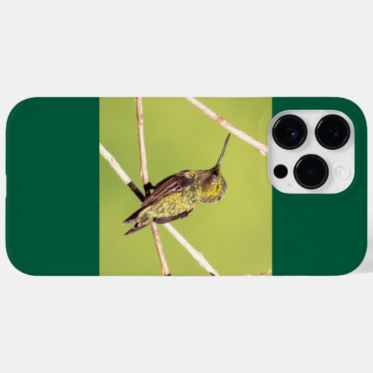 Ruby-Throated Hummingbird Case-Mate iPhone Case (Achterkant (horizontaal))