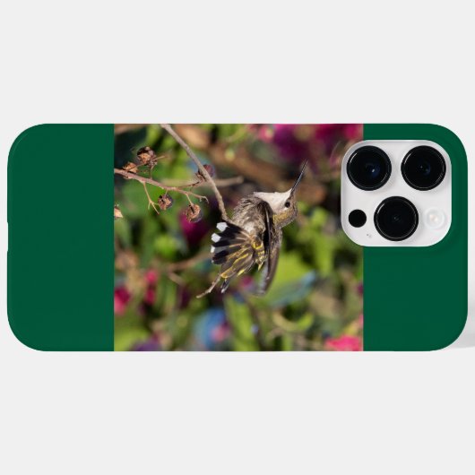 Ruby-Throated Hummingbird Case-Mate iPhone Case (Achterkant (horizontaal))