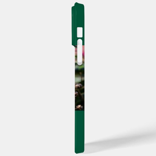 Ruby-Throated Hummingbird Case-Mate iPhone Case (Achterkant / Links)