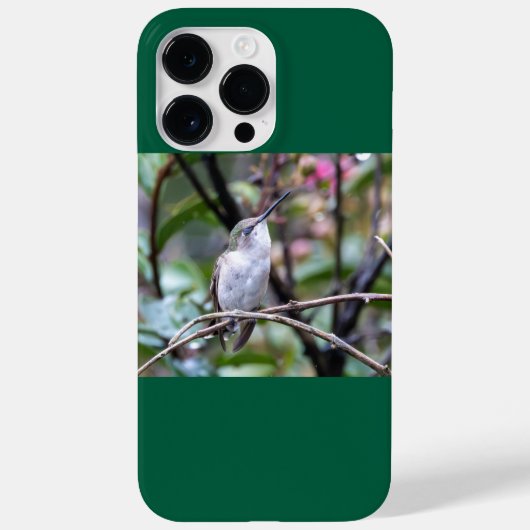 Ruby-Throated Hummingbird Case-Mate iPhone Case (Achterkant)