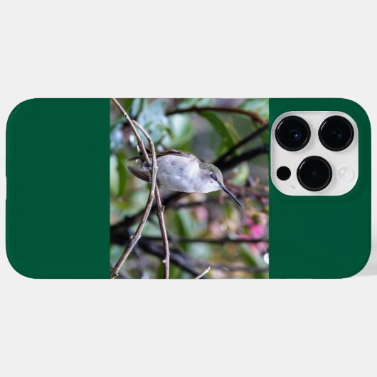 Ruby-Throated Hummingbird Case-Mate iPhone Case (Achterkant (horizontaal))