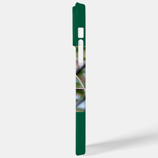 Ruby-Throated Hummingbird Case-Mate iPhone Case (Achterkant / Links)