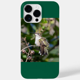 Ruby-Throated Hummingbird Case-Mate iPhone 14 Pro Max Hoesje