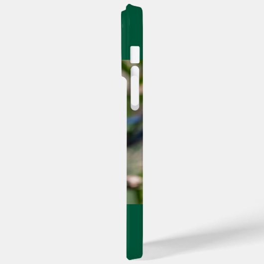 Ruby-Throated Hummingbird Case-Mate iPhone Case (Achterkant / Links)