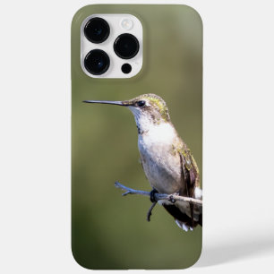 Ruby-Throated Hummingbird Case-Mate iPhone 14 Pro Max Hoesje