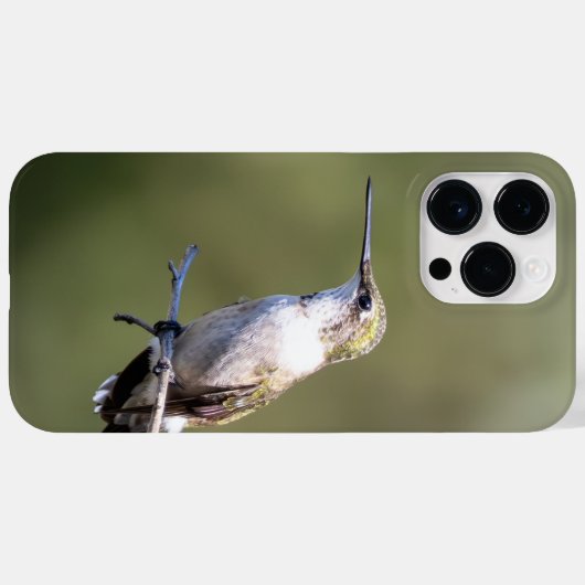 Ruby-Throated Hummingbird Case-Mate iPhone Case (Achterkant (horizontaal))