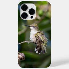 Ruby-Throated Hummingbird Case-Mate iPhone 14 Pro Max Hoesje