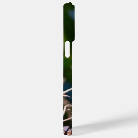 Ruby-Throated Hummingbird Case-Mate iPhone Case (Achterkant / Rechts)