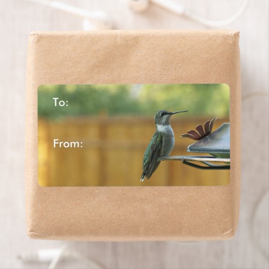 Ruby Throated Hummingbird Etiket (Insitu)