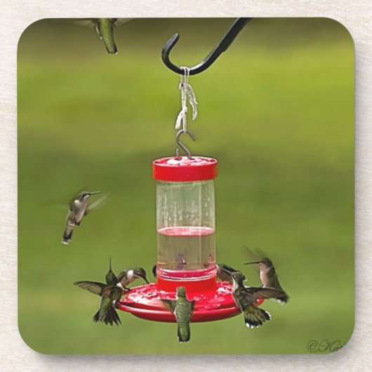 Ruby Throated Hummingbird Feeding Frenzy Drankjes Onderzetter (Voorkant)