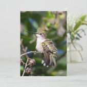 Ruby-Throated Hummingbird Fine Art Birthday Card Feestdagenkaart (Staand voorkant)