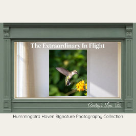 Ruby-Throated Hummingbird Fine Art Photography Poster