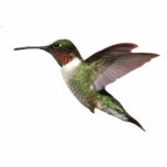 Ruby Throated Hummingbird Fotobeeldje Sleutelhanger<br><div class="desc">Deze mooie 3D-sleutelhanger is een roerige kolibrie</div>
