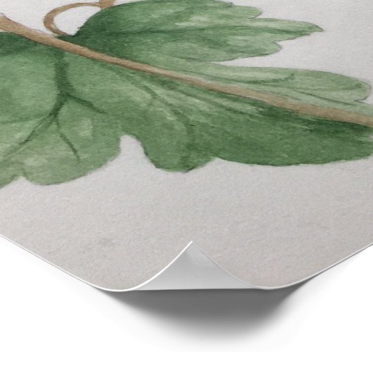 Ruby-throated Hummingbird Garden Watercolor Poster (Hoek)