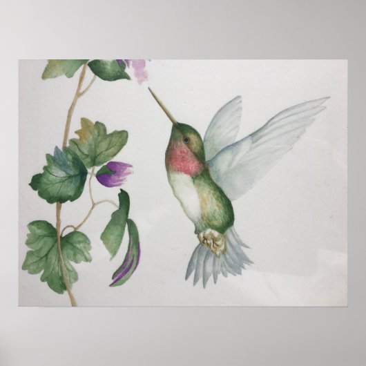 Ruby-throated Hummingbird Garden Watercolor Poster (Voorkant)