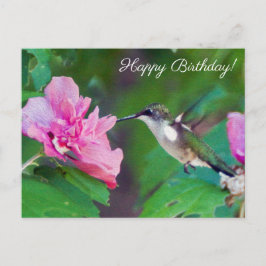 Ruby Throated Hummingbird Happy Birthday Briefkaar Briefkaart