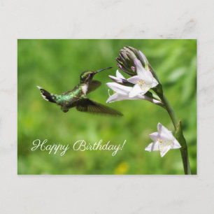 Ruby Throated Hummingbird Happy Birthday Briefkaar Briefkaart