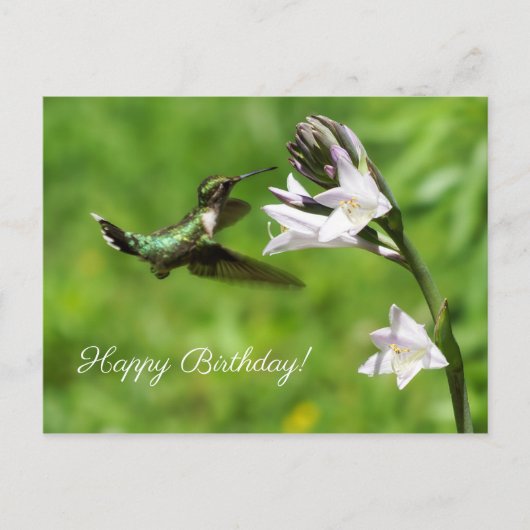 Ruby Throated Hummingbird Happy Birthday Briefkaar Briefkaart (Voorkant)