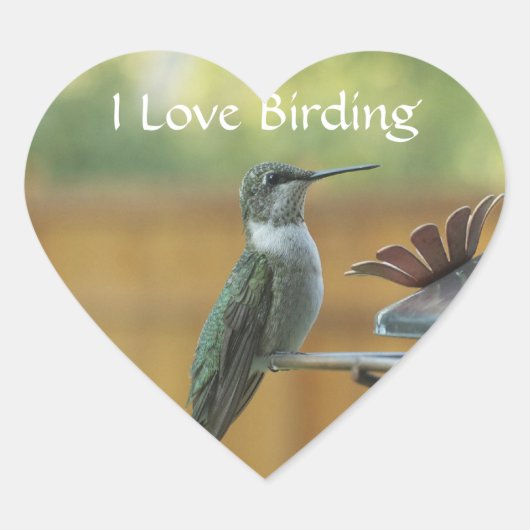 Ruby Throated Hummingbird Hart Sticker (Voorkant)
