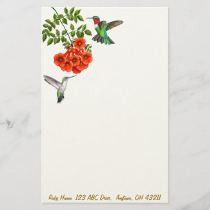 Ruby Throated Hummingbird in Red Trumpet Vines St Briefpapier