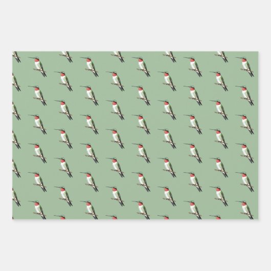 Ruby-throated Hummingbird Inpakpapier Vel (Voorkant 2)