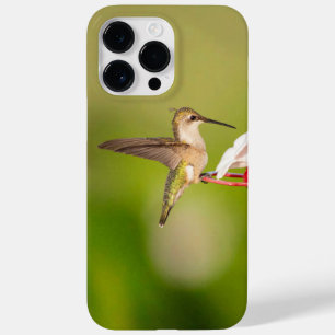 Ruby-Throated Hummingbird IPhone Case #108A0605
