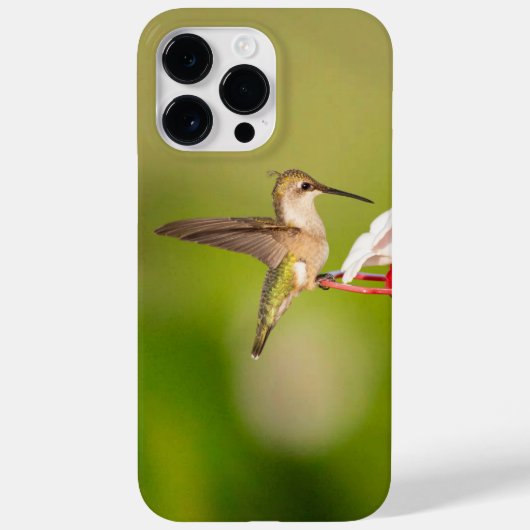 Ruby-Throated Hummingbird IPhone Case #108A0605 (Achterkant)