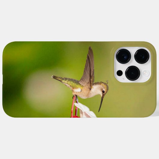 Ruby-Throated Hummingbird IPhone Case #108A0605 (Achterkant (horizontaal))