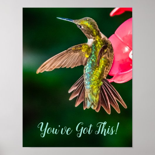 Ruby Throated Hummingbird Je hebt dit citaat Poster (Voorkant)