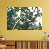 Ruby-throated Hummingbird Juvenile Male Canvas Afdruk (Insitu (Woonkamer))