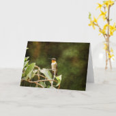 Ruby Throated Hummingbird Kaart (Gele Bloem)