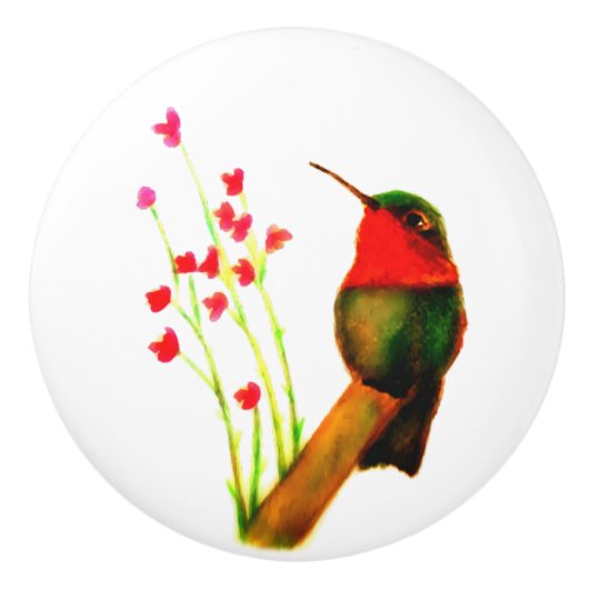 Ruby-Throated Hummingbird Keramische Knop (Voorkant)