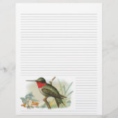 Ruby Throated Hummingbird Lined Letterhead (Voorkant)