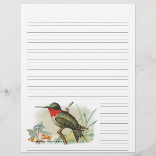 Ruby Throated Hummingbird Lined Letterhead (Voorkant)