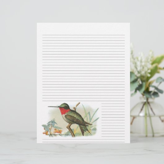 Ruby Throated Hummingbird Lined Letterhead (Staand voorkant)