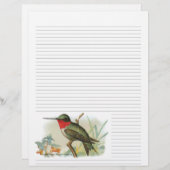 Ruby Throated Hummingbird Lined Letterhead (Voorkant / Achterkant)
