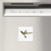 Ruby Throated Hummingbird Magneet (Insitu (Vaatwasser))