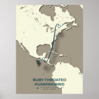 Ruby-throated Hummingbird Migratie Kaart