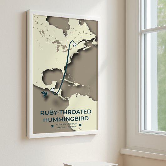 Ruby-throated Hummingbird Migratie Kaart Poster
