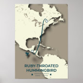 Ruby-throated Hummingbird Migratie Kaart Poster (Voorkant)