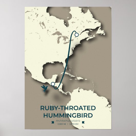 Ruby-throated Hummingbird Migratie Kaart Poster (Voorkant)