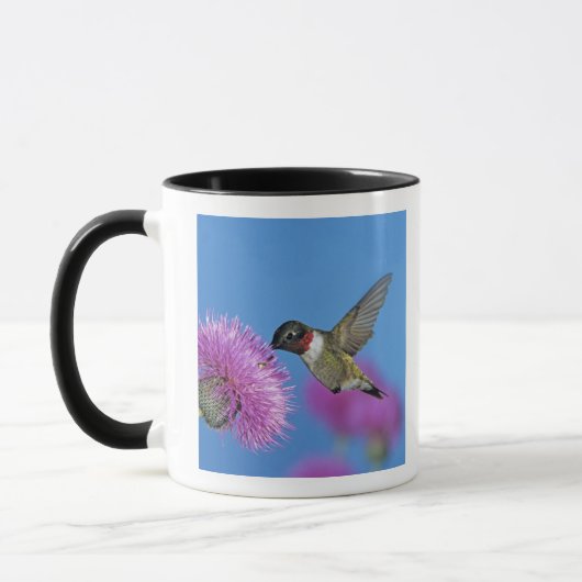 Ruby-throated Hummingbird Mok (Links)