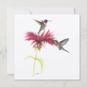 Ruby Throated Hummingbird Paar (Voorkant)