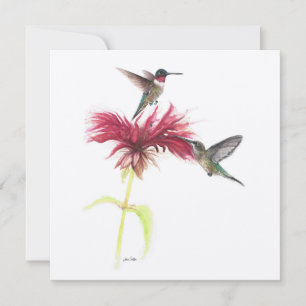 Ruby Throated Hummingbird Paar