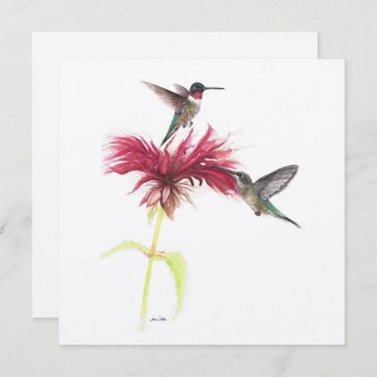 Ruby Throated Hummingbird Paar (Voorkant / Achterkant)